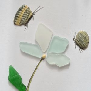 Butterfly and Flowers (Closeup)