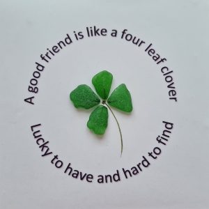 Four leaf clover close-up
